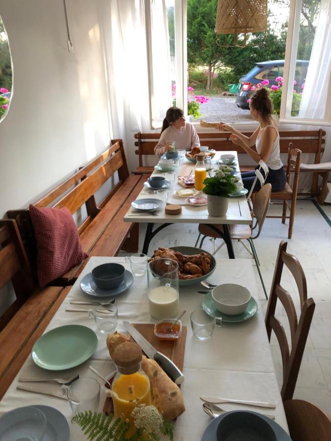 Surfhostel Hossegor Soorts-Hossegor Eksteriør billede